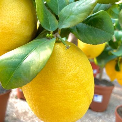 Whatsapp Image 2022 03 07 At 09.20.42 1