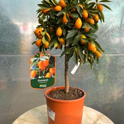 Whatsapp Image 2022 03 07 At 09.20.45 1