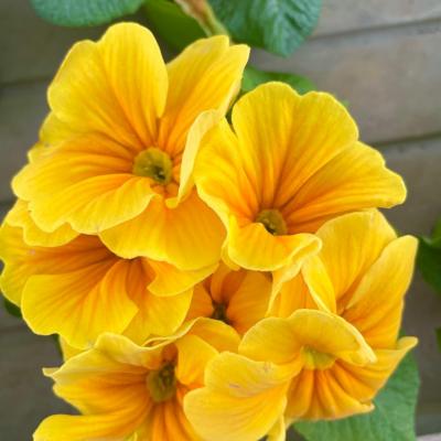 Whatsapp Image 2022 03 09 At 12.08.05 3