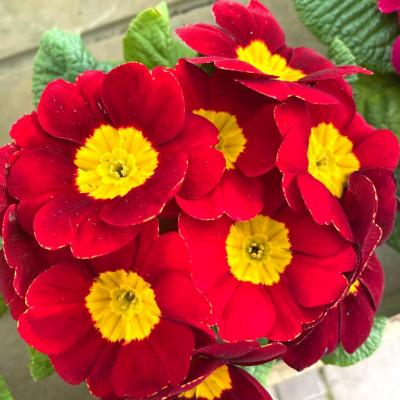 Whatsapp Image 2022 03 09 At 12.08.05 4