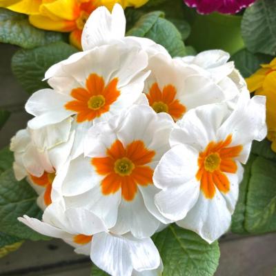 Whatsapp Image 2022 03 09 At 12.08.05 5