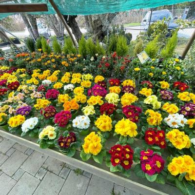 Whatsapp Image 2022 03 09 At 16.20.21 10