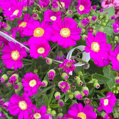 Whatsapp Image 2022 03 09 At 16.20.21 14