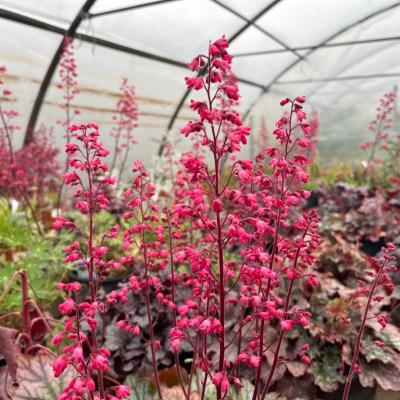 Whatsapp Image 2022 03 09 At 16.20.21 18