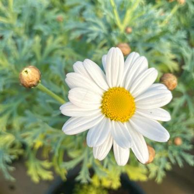 Whatsapp Image 2022 03 09 At 16.20.21 20