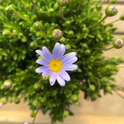 Whatsapp Image 2022 03 09 At 16.20.21 21