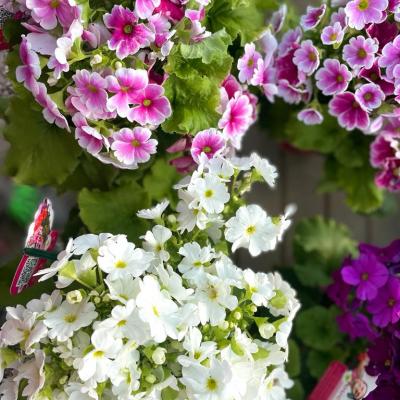 Whatsapp Image 2022 03 09 At 16.20.21 221