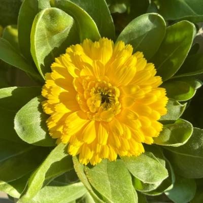 Whatsapp Image 2022 03 09 At 16.20.21 27