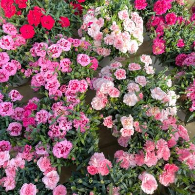 Whatsapp Image 2022 03 09 At 16.20.21 4