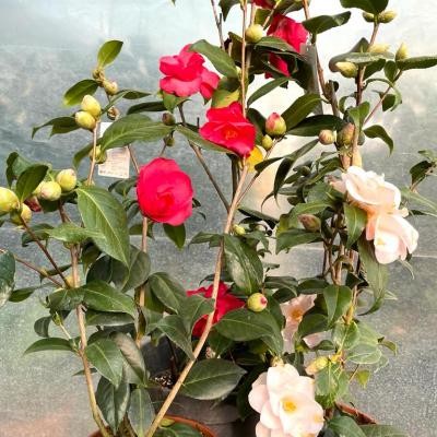 Whatsapp Image 2022 03 09 At 16.20.21 5