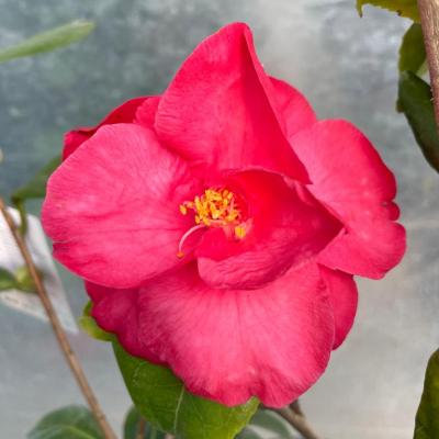 Whatsapp Image 2022 03 09 At 16.20.21 6