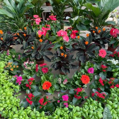 Whatsapp Image 2022 03 09 At 16.20.21 9